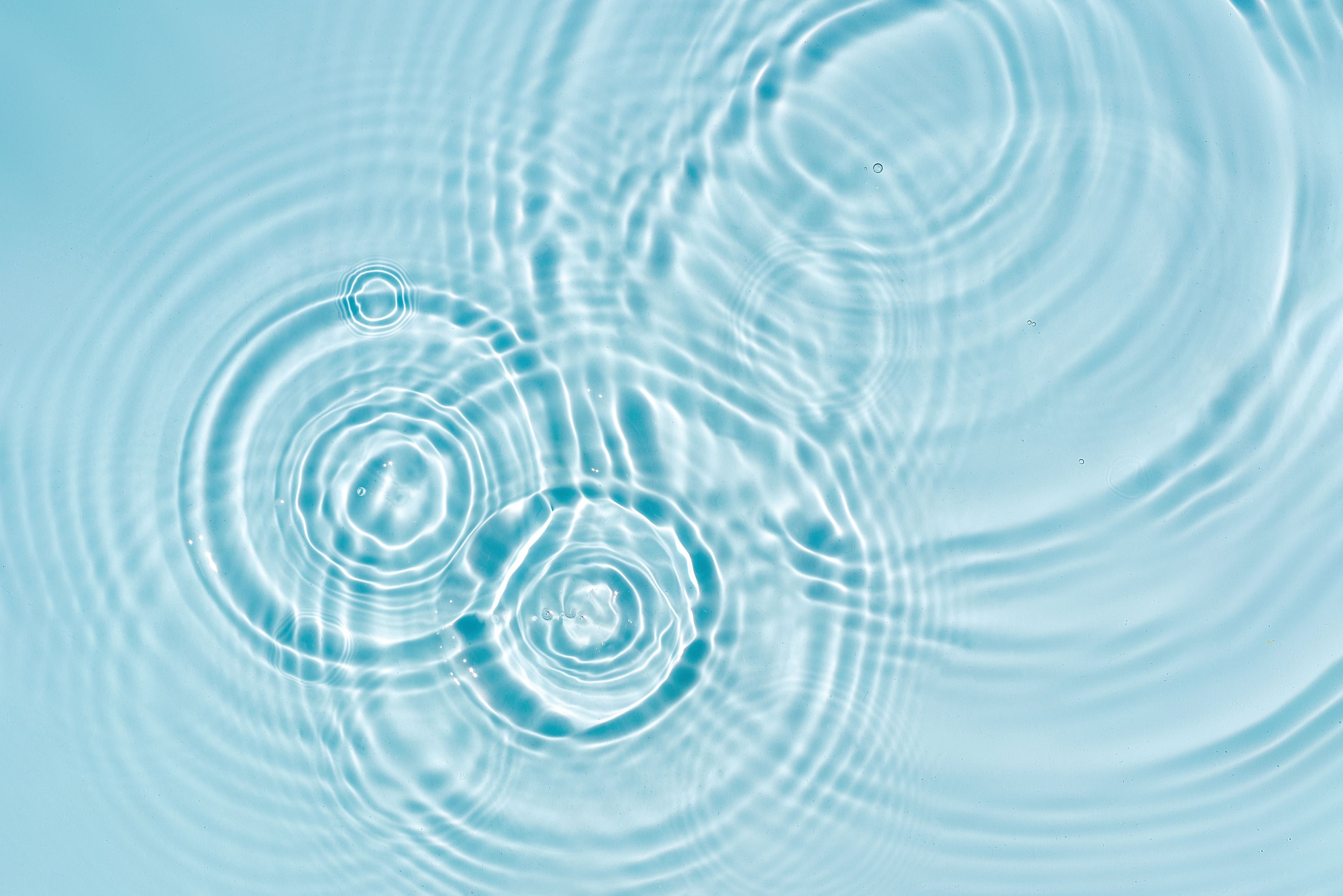 AdobeStock_519863152.jpeg